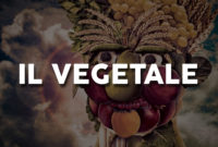 IL-VEGETALE-COVER